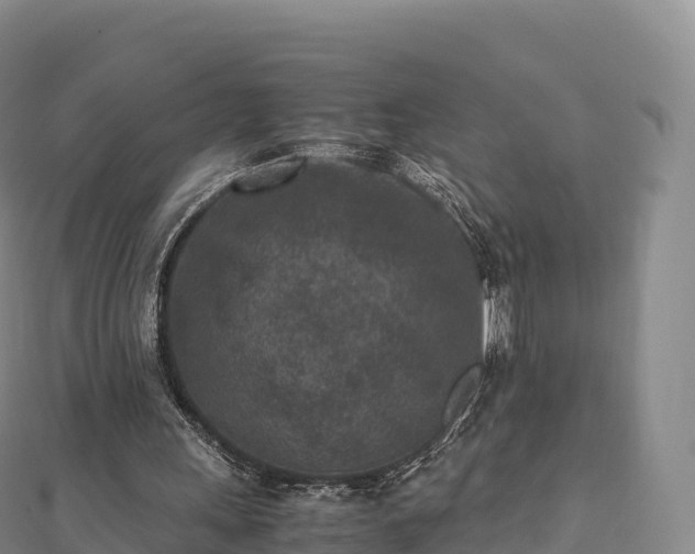 X0000110730243200906191531