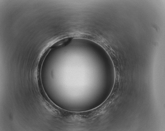 X0000110730244200906191531