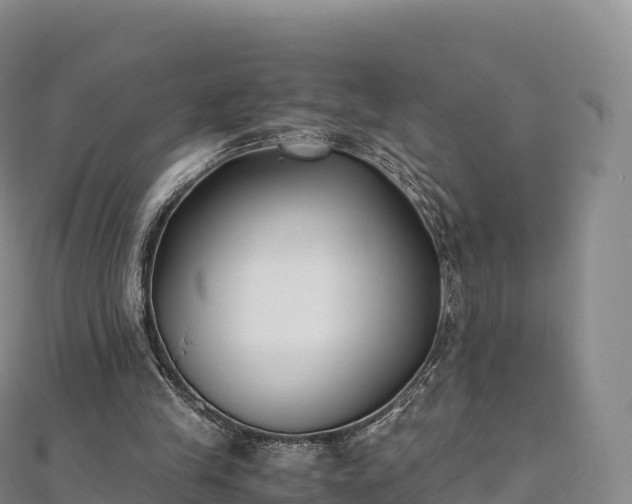 X0000110730245200906191531