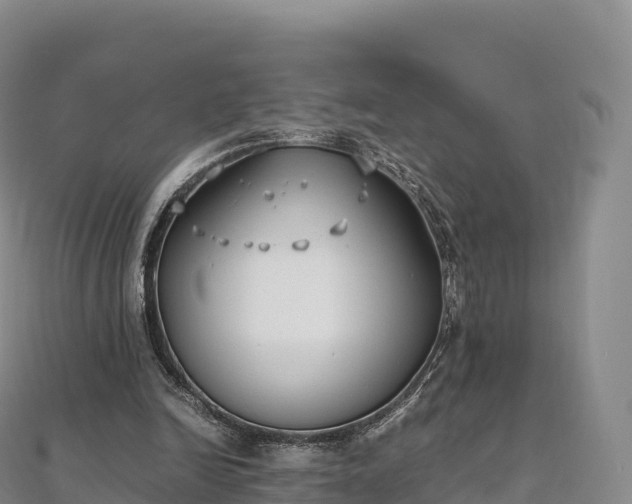 X0000110730246200906191531