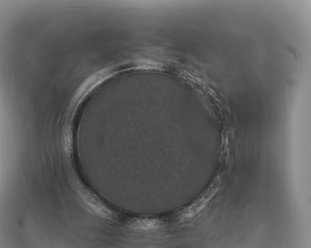 X0000110730247200906191532