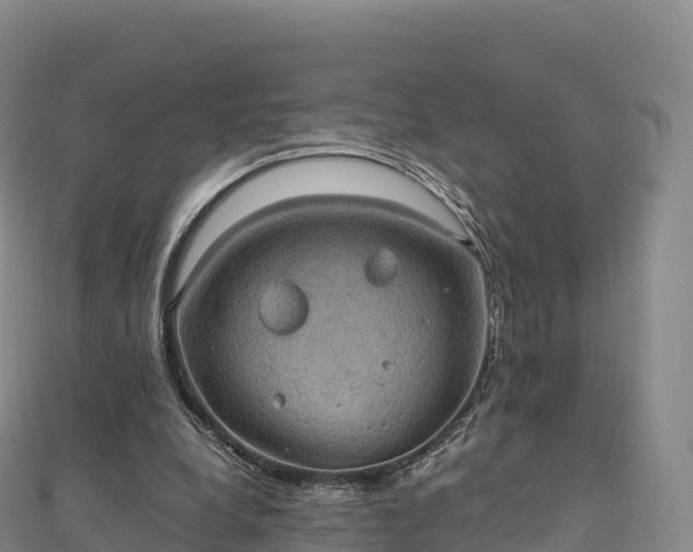 X0000110730248200906191532