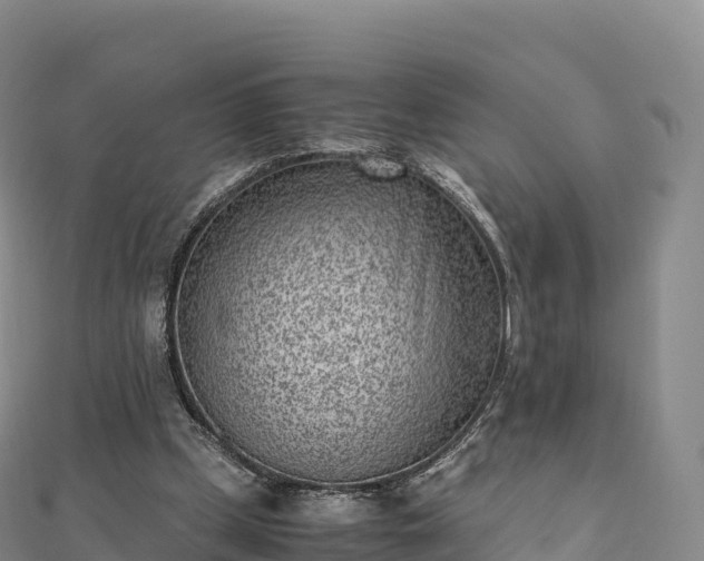 X0000110730249200906191532