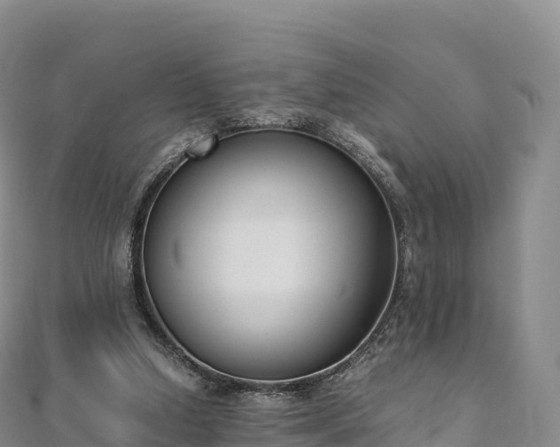 X0000110730250200906191532