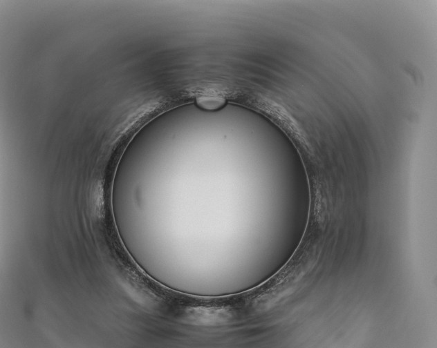 X0000110730251200906191532