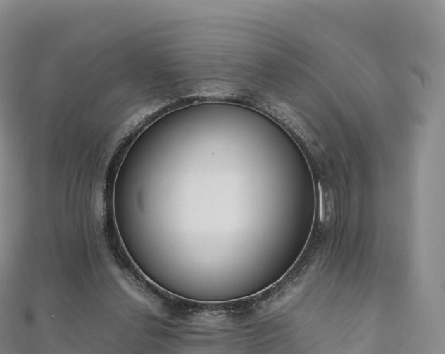 X0000110730252200906191532