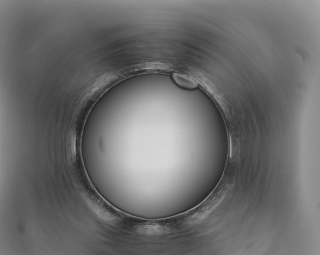 X0000110730253200906191532