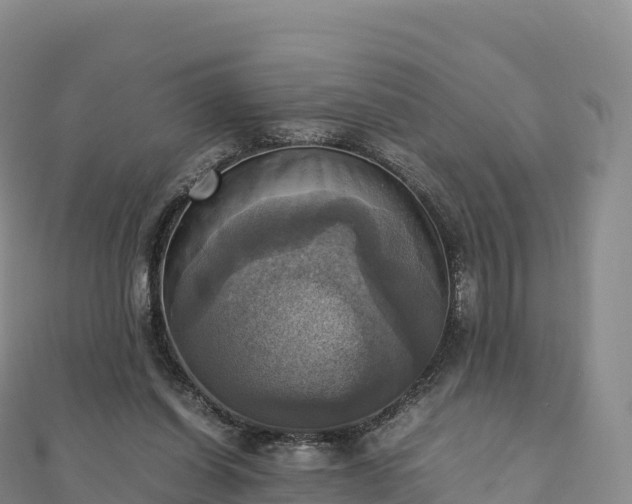 X0000110730254200906191532