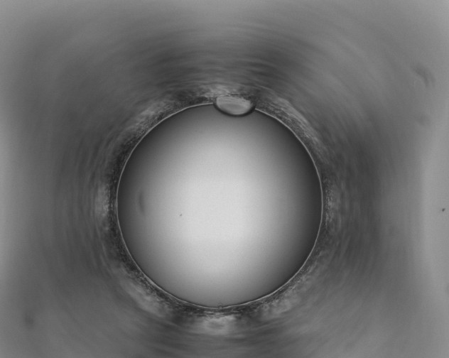 X0000110730257200906191532