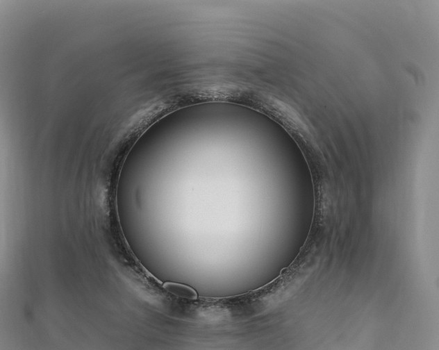 X0000110730258200906191532