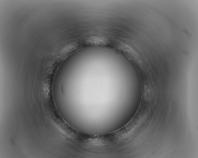 X0000110730259200906191532