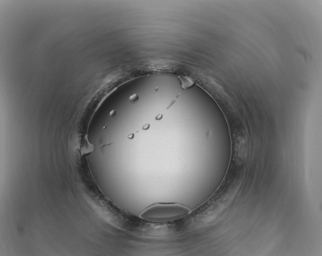 X0000110730260200906191532