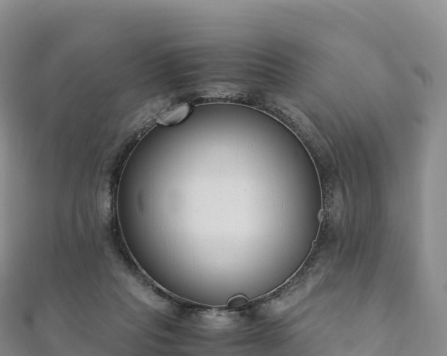 X0000110730261200906191532