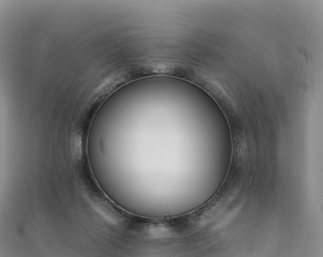 X0000110730262200906191532