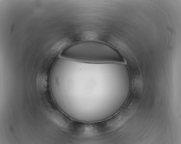 X0000110730264200906191532