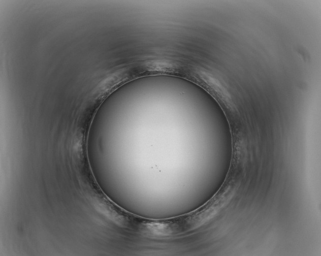 X0000110730265200906191532