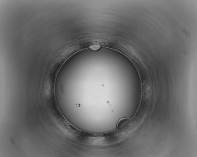 X0000110730266200906191532