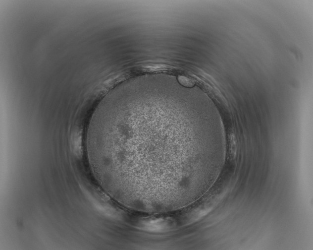 X0000110730267200906191532