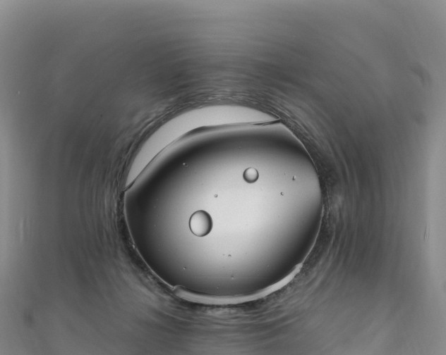 X0000110730268200906191532