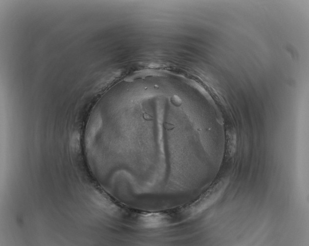 X0000110730269200906191532