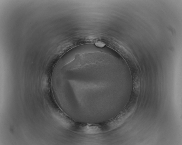 X0000110730270200906191532