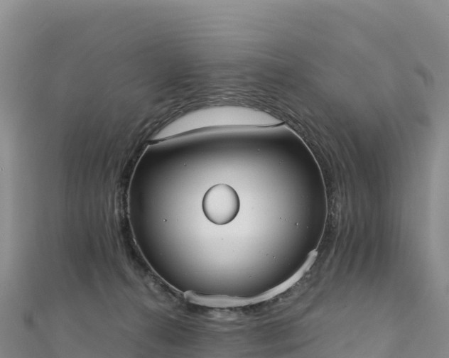 X0000110730272200906191532