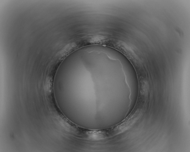 X0000110730273200906191532