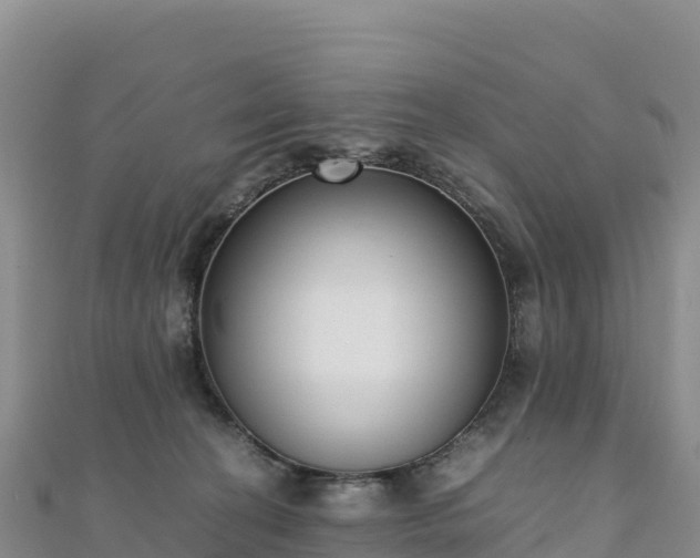 X0000110730274200906191532