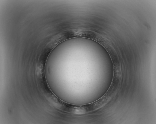 X0000110730275200906191532