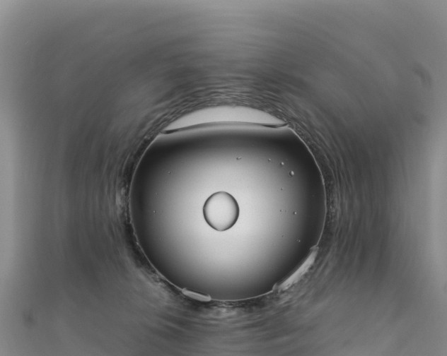 X0000110730276200906191532