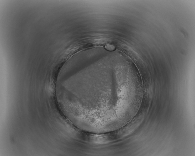 X0000110730277200906191532