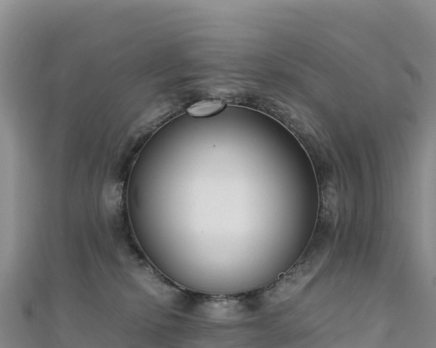 X0000110730278200906191532