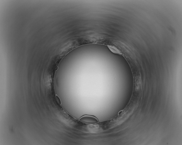 X0000110730279200906191532