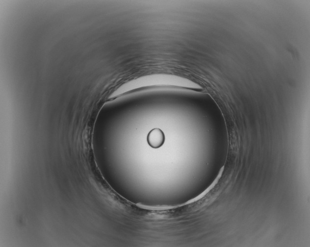 X0000110730280200906191532