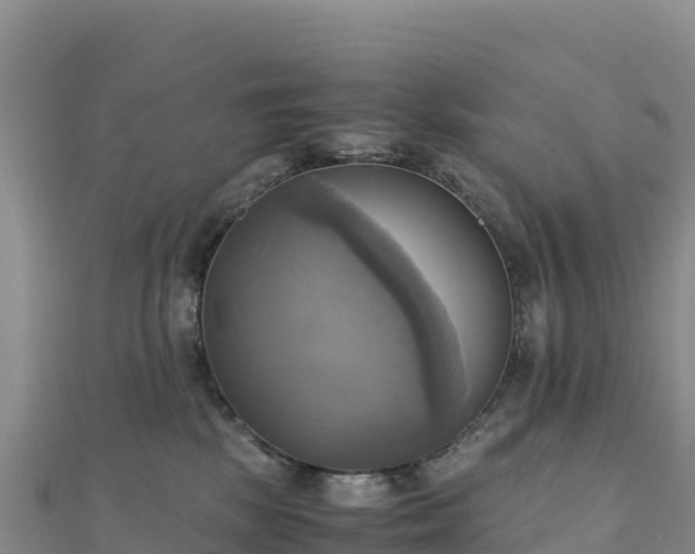 X0000110730281200906191532