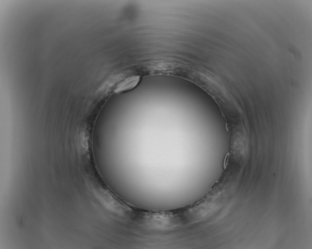 X0000110730282200906191532