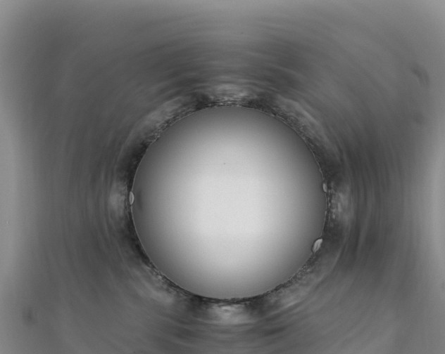 X0000110730283200906191532