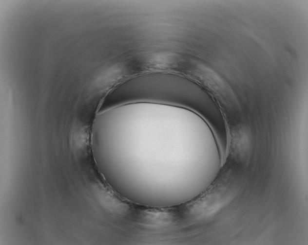 X0000110730284200906191532