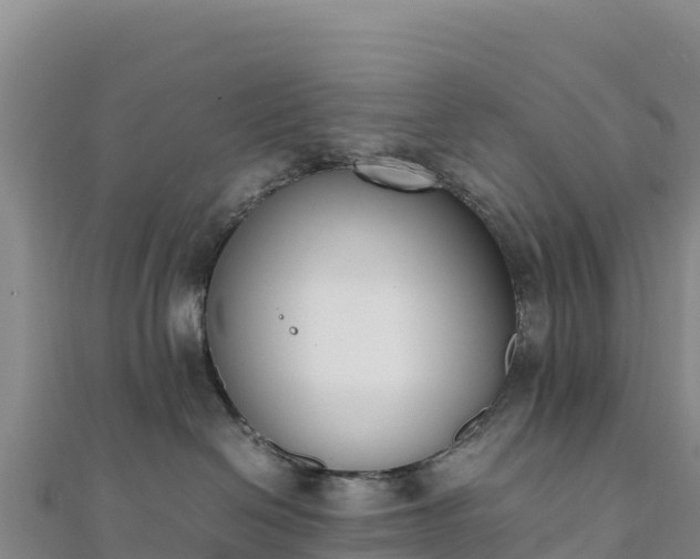 X0000110730286200906191532