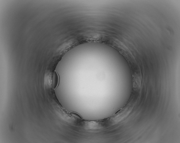 X0000110730287200906191532