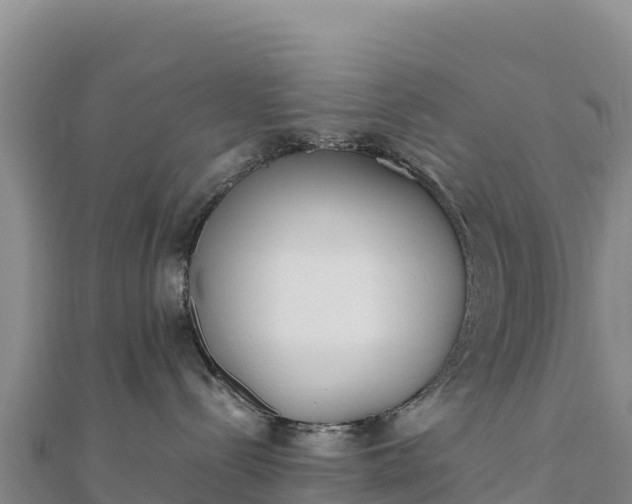 X0000110730288200906191532