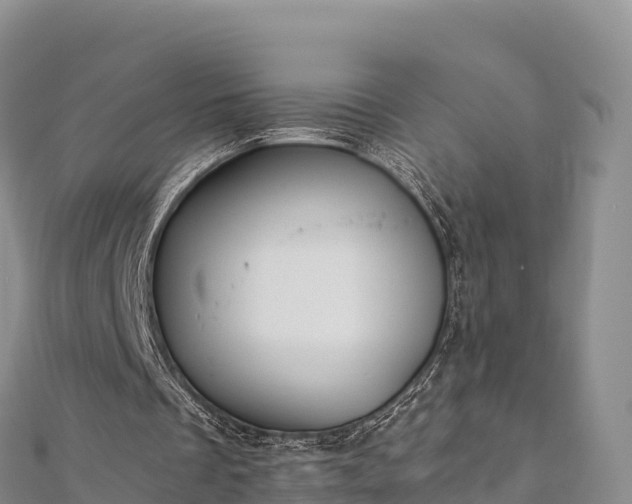 X0000110730289200906191531