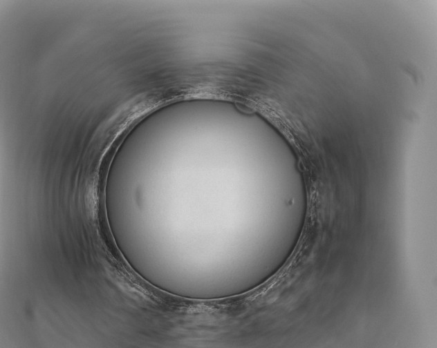 X0000110730290200906191531