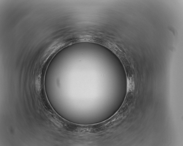 X0000110730291200906191531