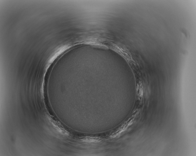 X0000110730292200906191531