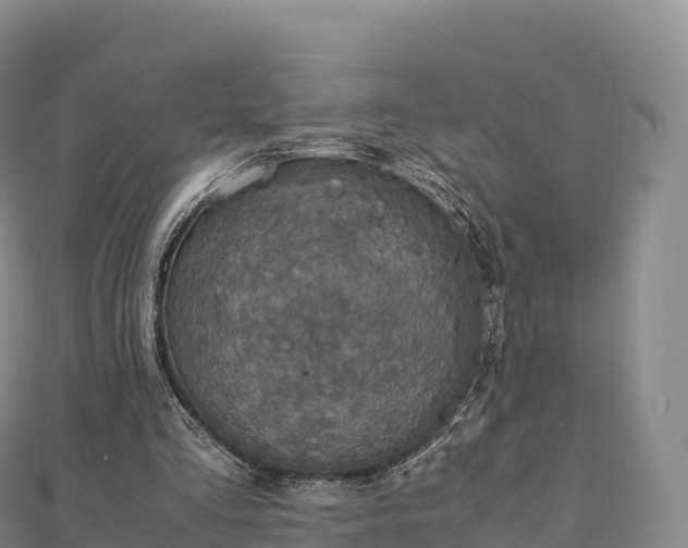 X0000110730293200906191531