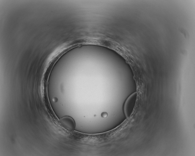 X0000110730294200906191531