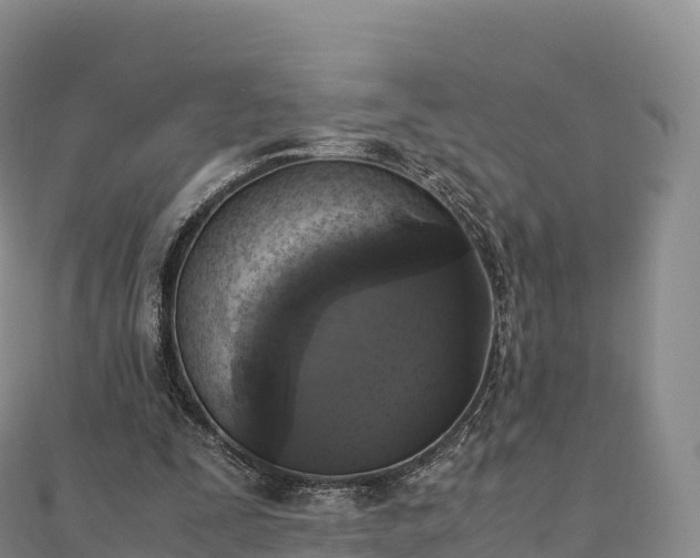 X0000110730295200906191531