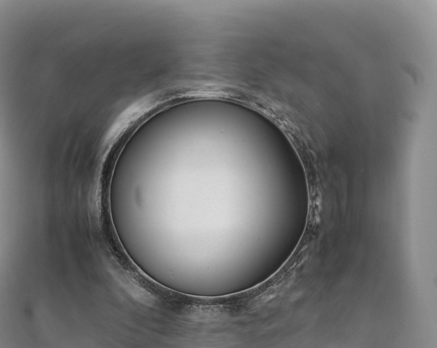 X0000110730296200906191531