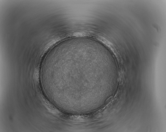 X0000110730297200906191531